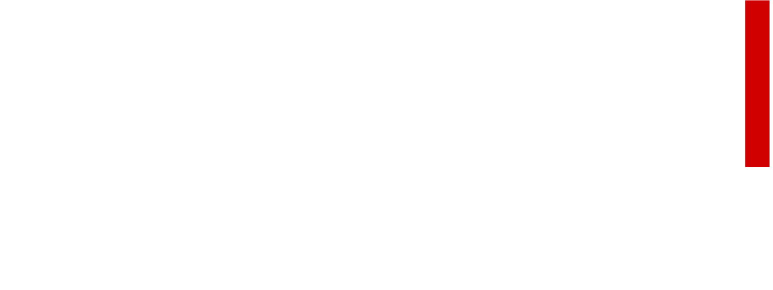 Homel Systems Logo